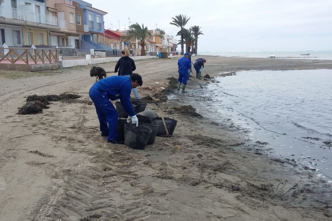 El Ayuntamiento de Cartagena da trabajo limpiando el litoral a 28 parados El Ayuntamiento de Cartagena da trabajo limpiando el litoral a 28 parados