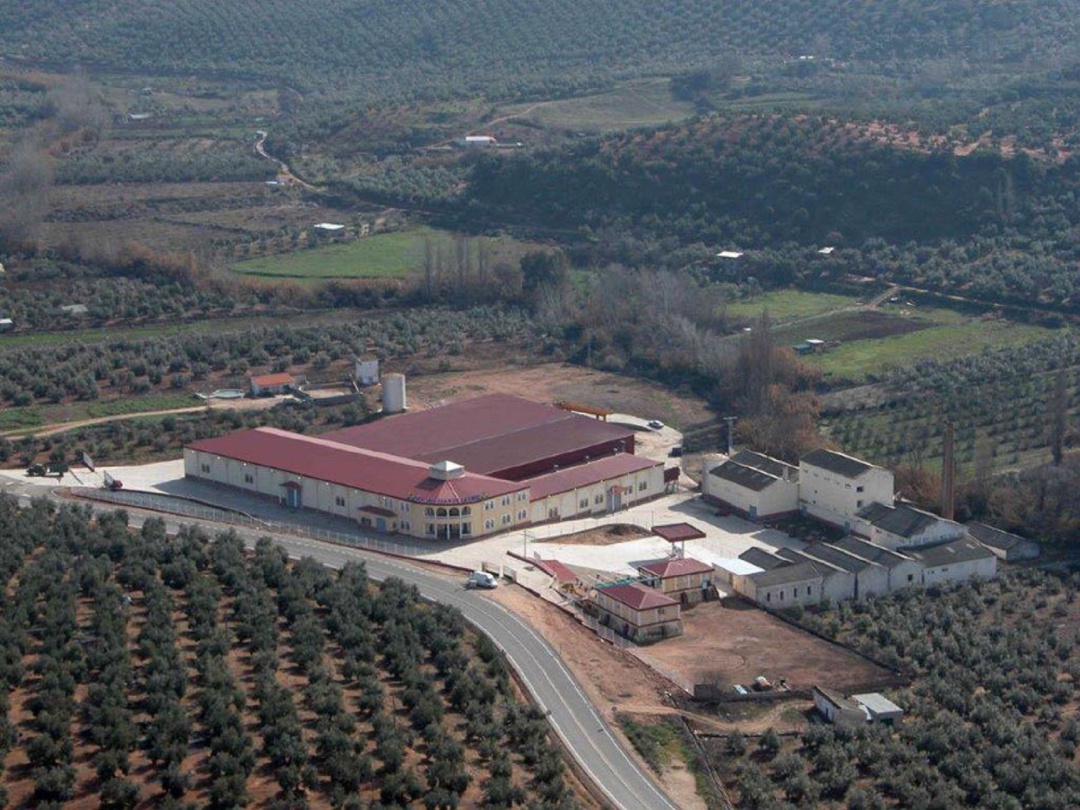 Dos cooperativas de Beas de Segura se fusionan para molturar 27 millones de kilos de aceituna Dos cooperativas de Beas de Segura se fusionan para molturar 27 millones de kilos de aceituna