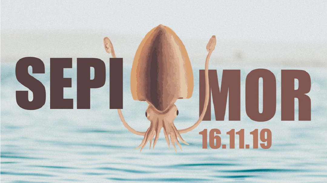 El Real Club Náutico Dénia celebra el concurso de pesca 'Sepiamor'