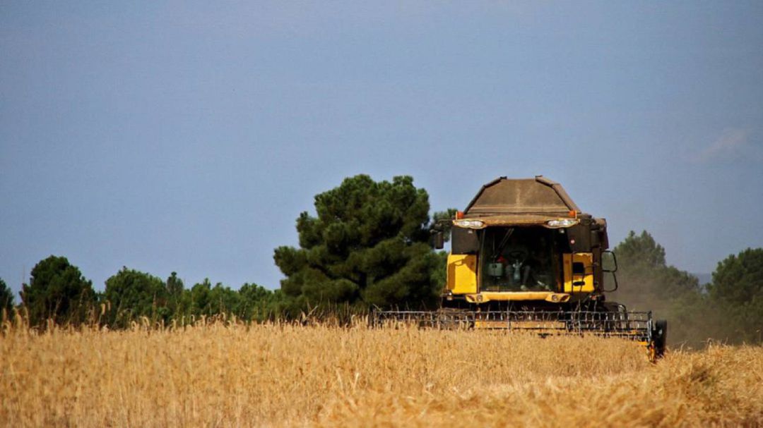 Los agricultores palentinos con cultura de seguros agrarios Los agricultores palentinos con cultura de seguros agrarios