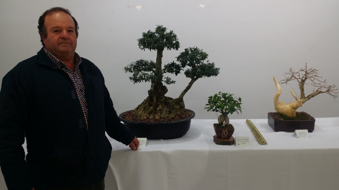 XIII Feria del Aceite de Porcuna