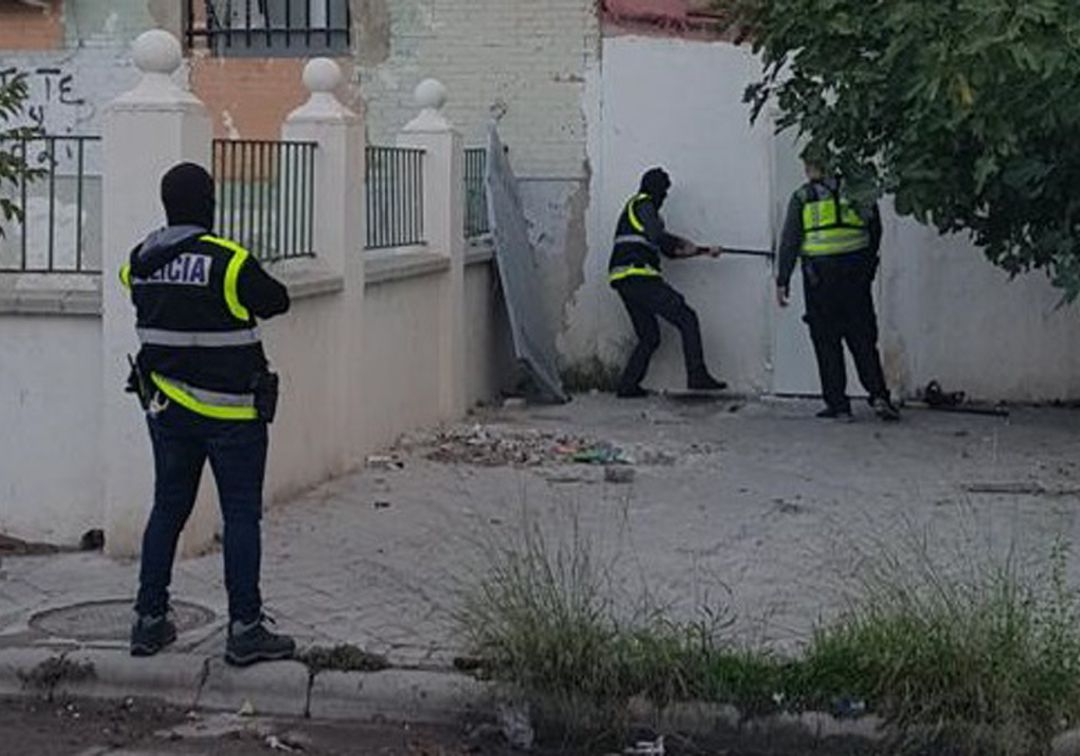 Operación de película de Granada en el distrito Norte contra el tráfico de marihuana con 200 policías