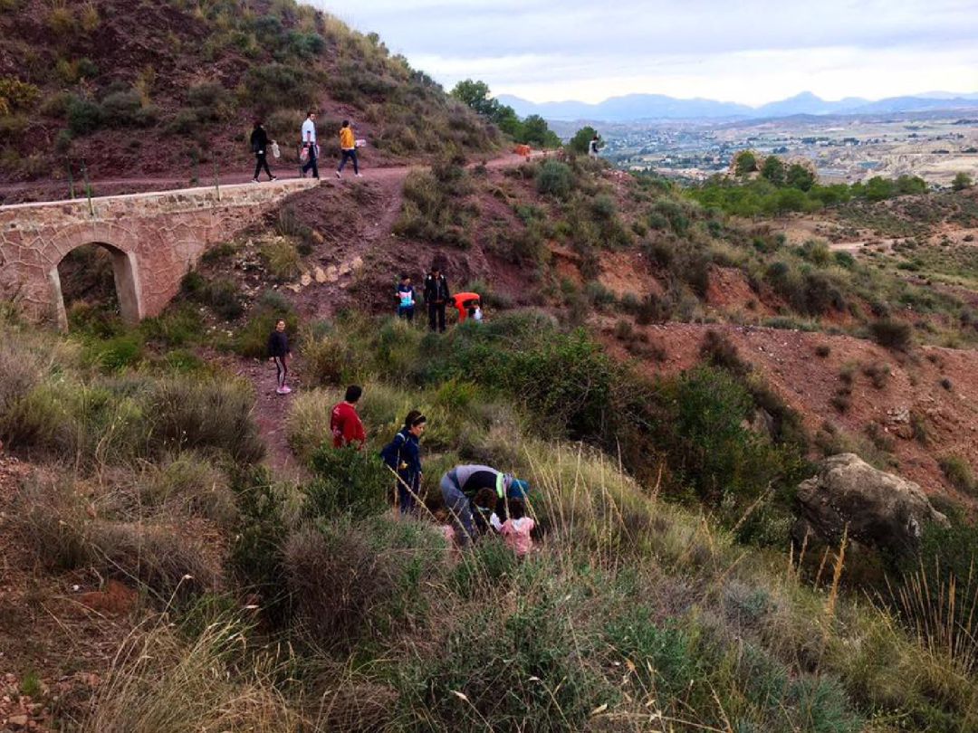 Nueva jornada de plantación de árboles en Los Pilones el domingo 17 de noviembre Nueva jornada de plantación de árboles en Los Pilones el domingo 17 de noviembre