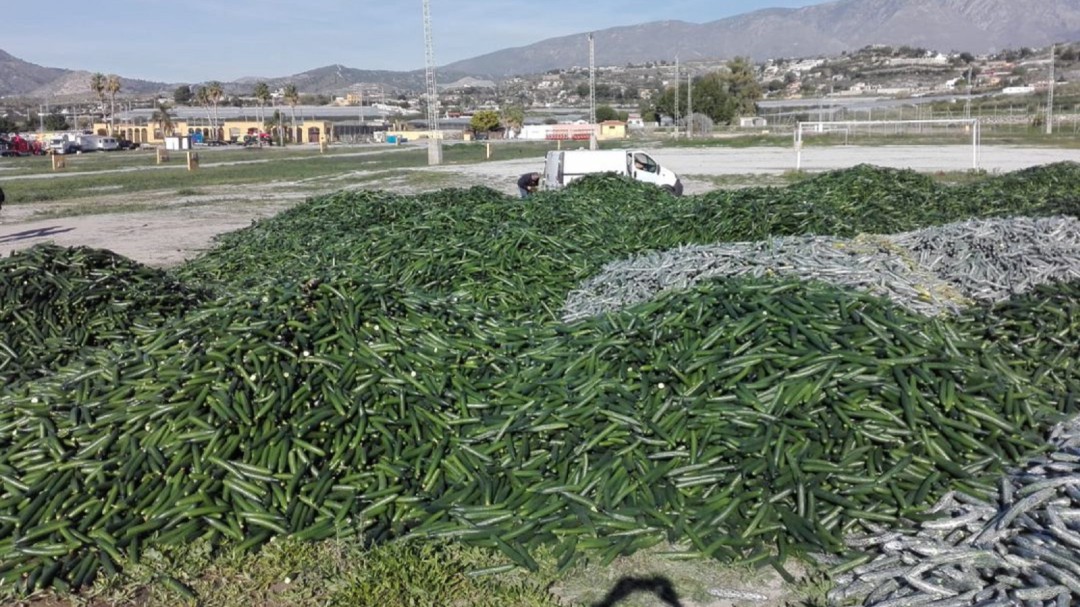 Los agricultores de la Costa se suman al Paro Agrario para denunciar el estado crítico del sector hortofrutícola