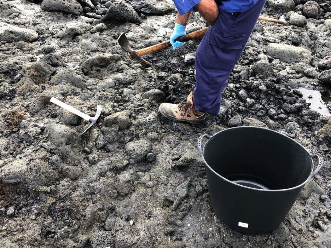 Labores de limpieza en el Mapaís de Güímar Labores de limpieza en el Mapaís de Güímar