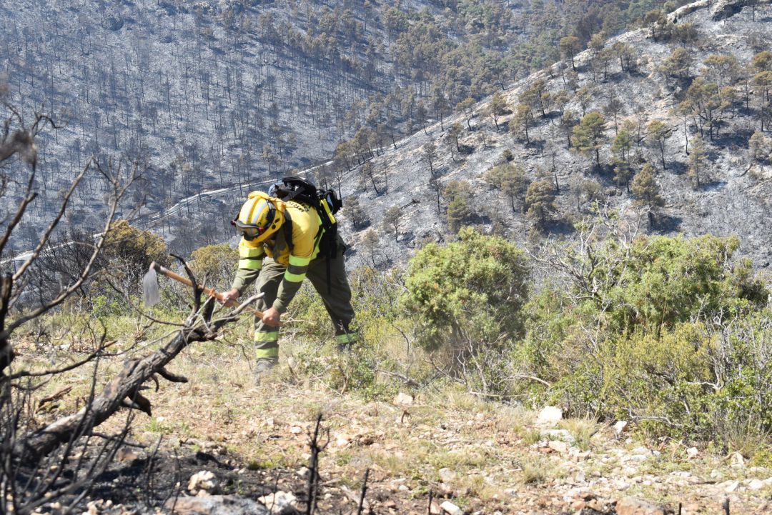Un brigada trabaja en una zona quemada. Un brigada trabaja en una zona quemada.