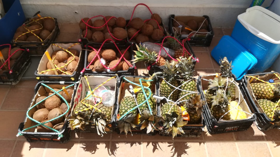 257 denuncias por venta ambulante este verano en Formentera