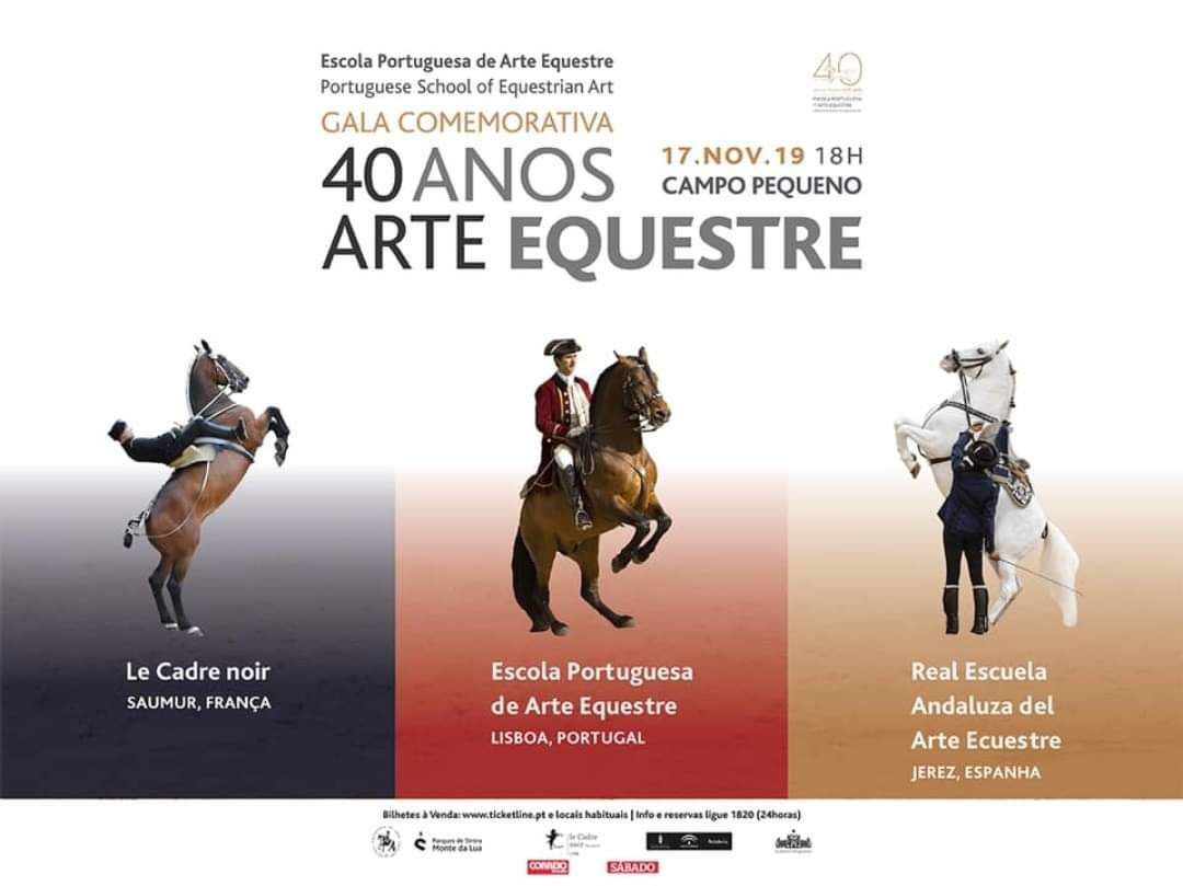 La Real Escuela participa este domingo en la gala del 40º aniversario de la Escola Portuguesa La Real Escuela participa este domingo en la gala del 40º aniversario de la Escola Portuguesa