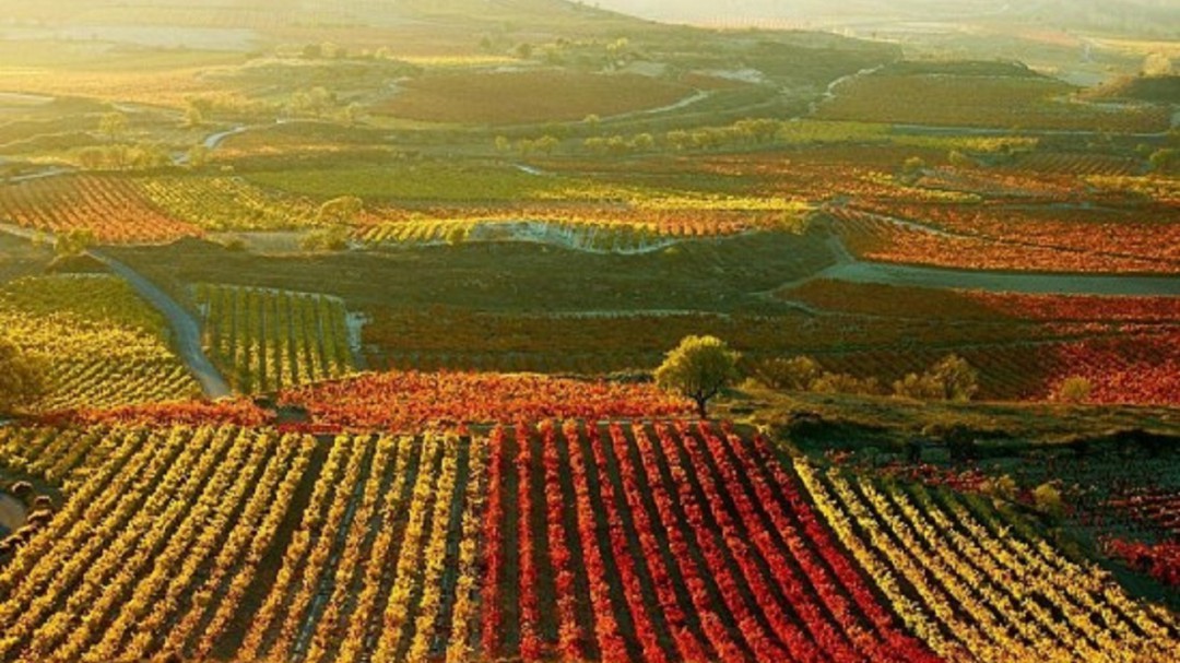 La Rioja, pasen y sientan