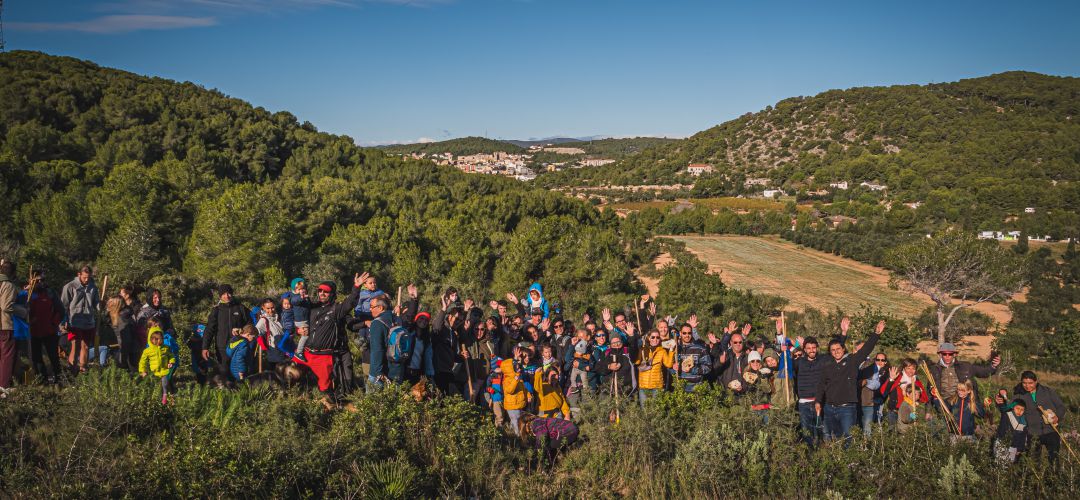En ciudades como Tarragona ya se ha hecho este plan de reforestación En ciudades como Tarragona ya se ha hecho este plan de reforestación