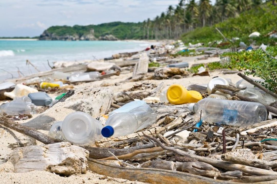 La basuraleza y sus efectos en el medioambiente y en la economía La basuraleza y sus efectos en el medioambiente y en la economía