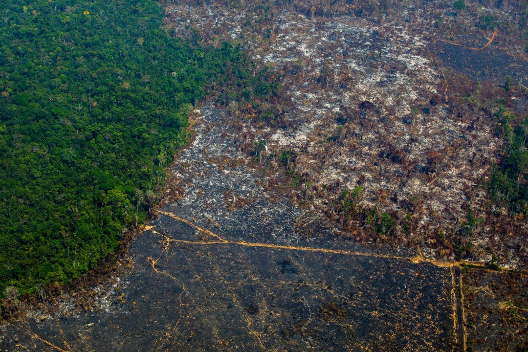 Vista aérea de la deforestación en la Reserva Biológica Nascentes da Serra do Cachimbo en Altamira, estado de Pará, Brasil, en la cuenca del Amazonas Vista aérea de la deforestación en la Reserva Biológica Nascentes da Serra do Cachimbo en Altamira, estado de Pará, Brasil, en la cuenca del Amazonas