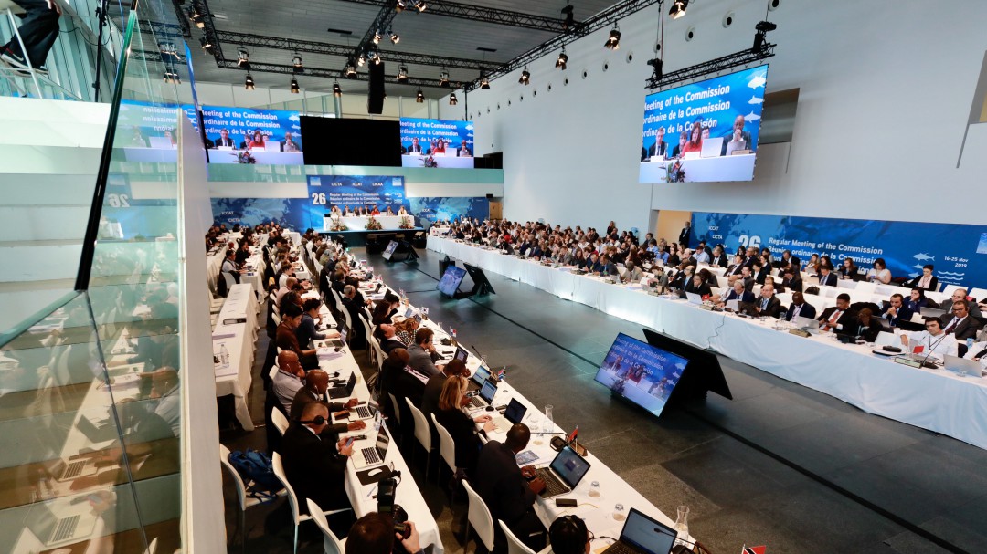 Cumbre mundial en Palma para la protección de las especies marinas