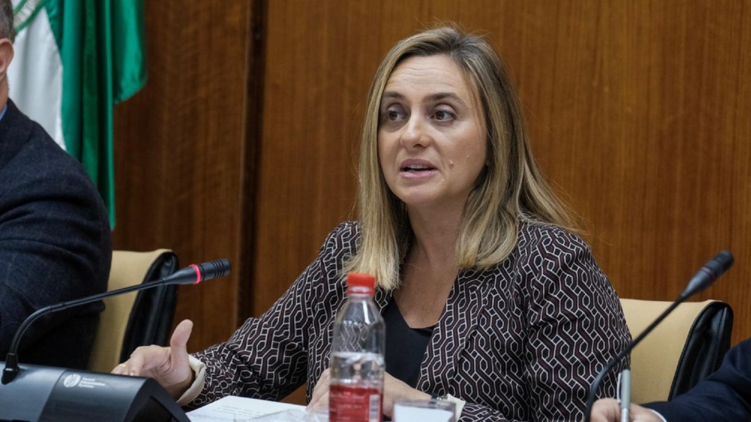 La Junta reivindica su buena gestión en la reconstrucción del puente sobre el río Baza