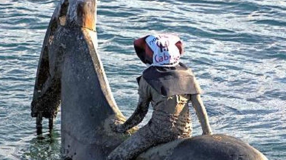 Cubren los jinetes de Jason Decaires con el logo del PSOE y la FCM
