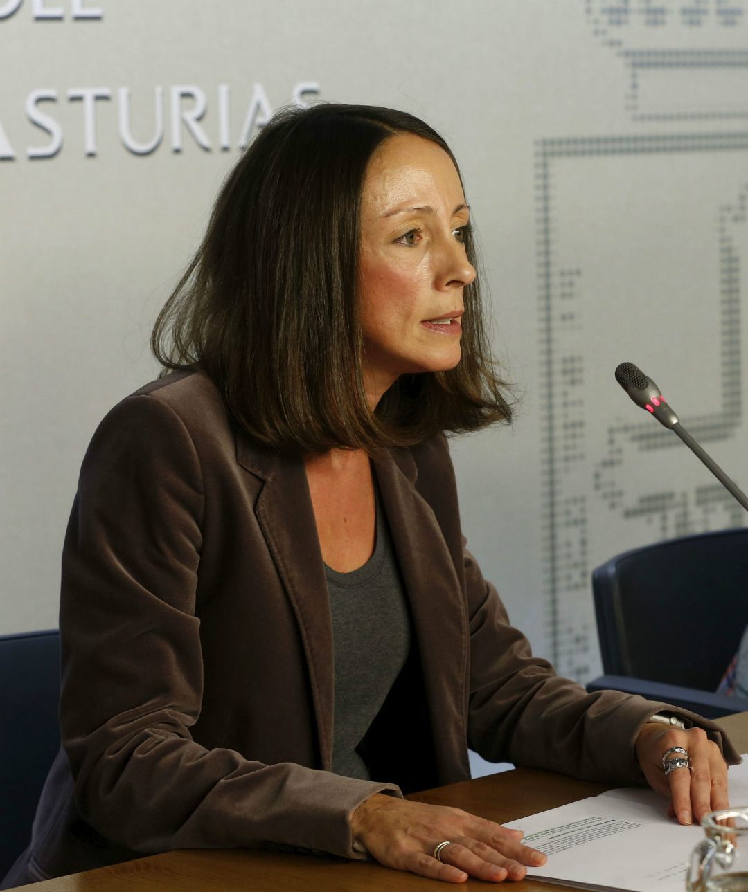 El Princiado incrementará en un 2,3% la ayuda a la Depedencia que reciben más de un millar de asturianos El Princiado incrementará en un 2,3% la ayuda a la Depedencia que reciben más de un millar de asturianos