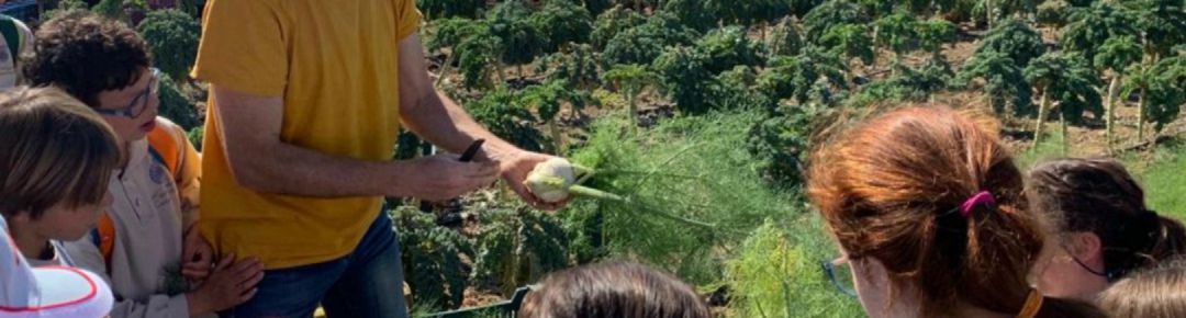 Más mujeres en la dirección de las organizaciones agrarias para obtener ayudas públicas Más mujeres en la dirección de las organizaciones agrarias para obtener ayudas públicas