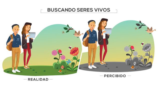 ¿Cuántos seres vivos hay en la imagen? La respuesta no le sorprenderá ¿Cuántos seres vivos hay en la imagen? La respuesta no le sorprenderá