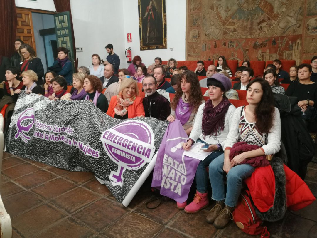 Miembros de la plataforma y el escritor y catedrático, Octavio Salazar, en el pleno extraordinario de la Diputación. Miembros de la plataforma y el escritor y catedrático, Octavio Salazar, en el pleno extraordinario de la Diputación.