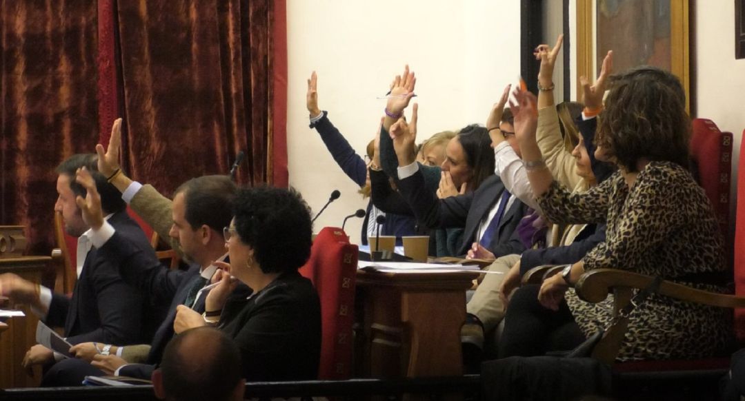 Los grupos se unen para reclamar las infraestructuras pendientes para Elche Los grupos se unen para reclamar las infraestructuras pendientes para Elche