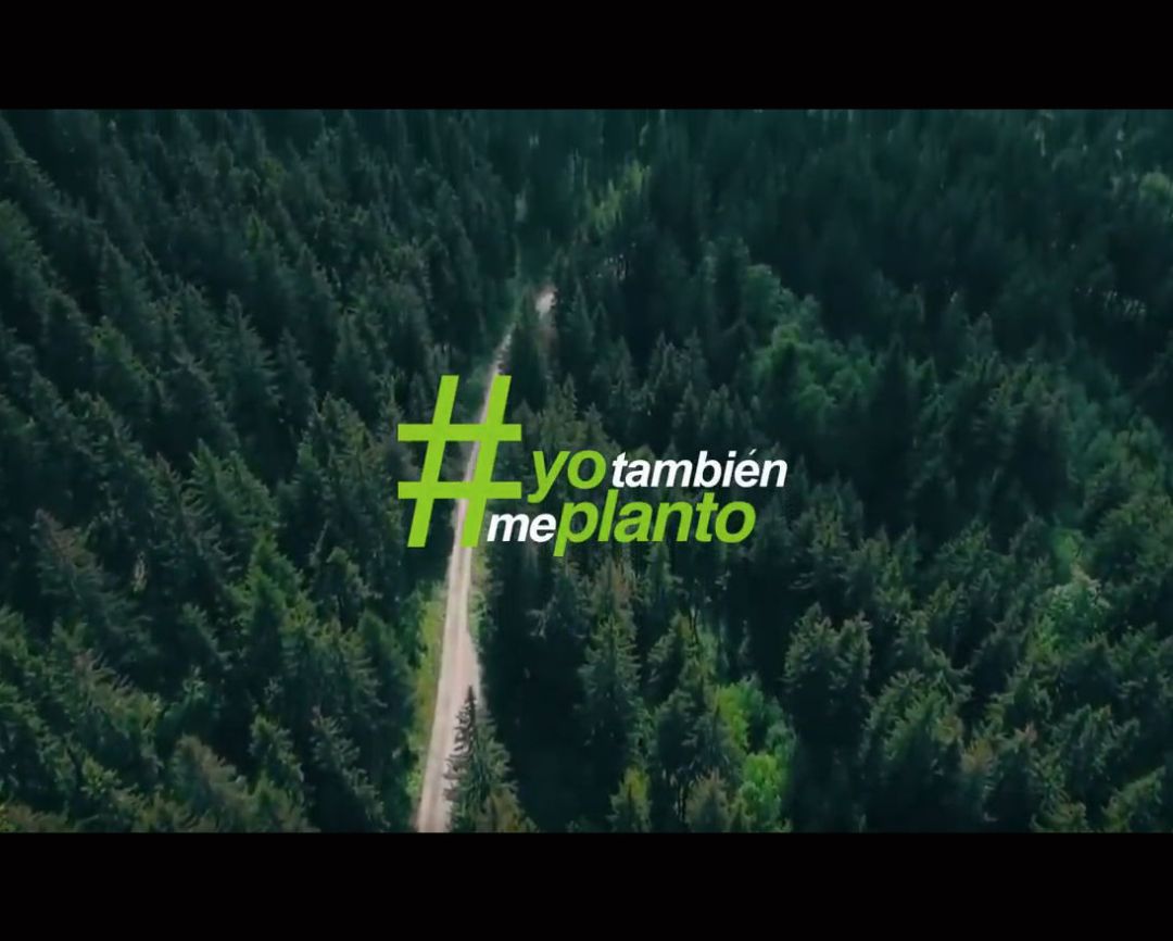 #YoTambiénMePlanto #YoTambiénMePlanto