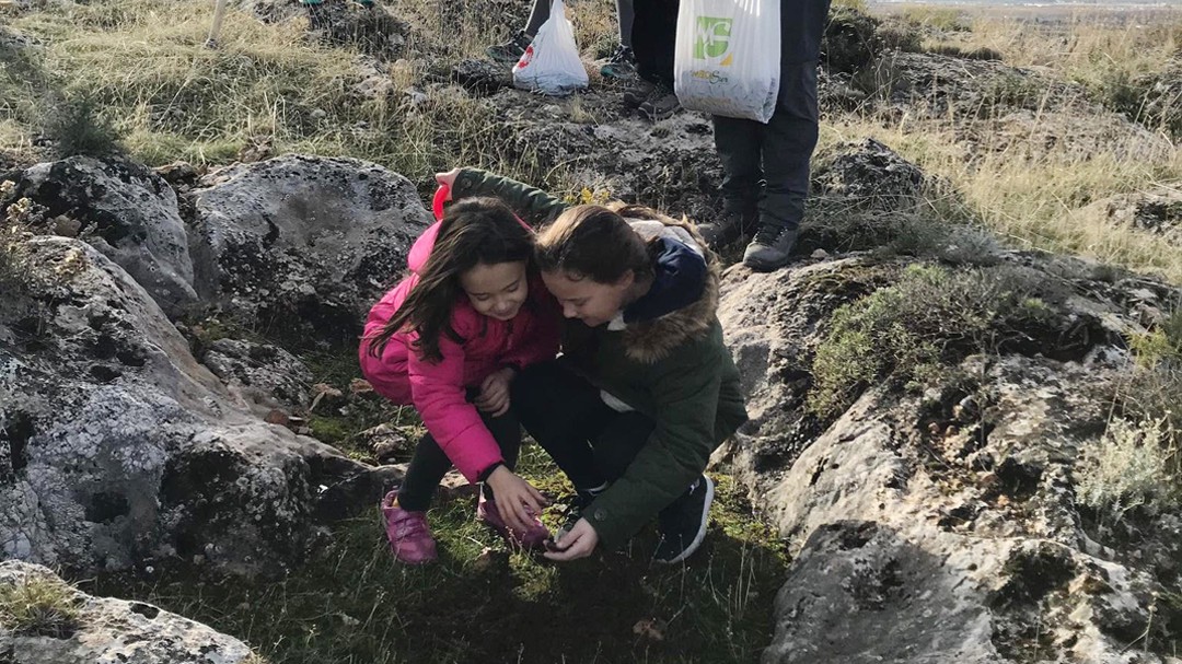 Los vecinos se echan al monte con la premisa de 'una bellota, un árbol'
