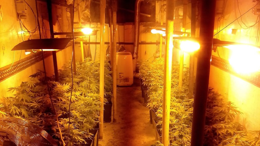 Encuentran una plantación de cannabis en un frigorífico enterrado a cinco metros bajo tierra