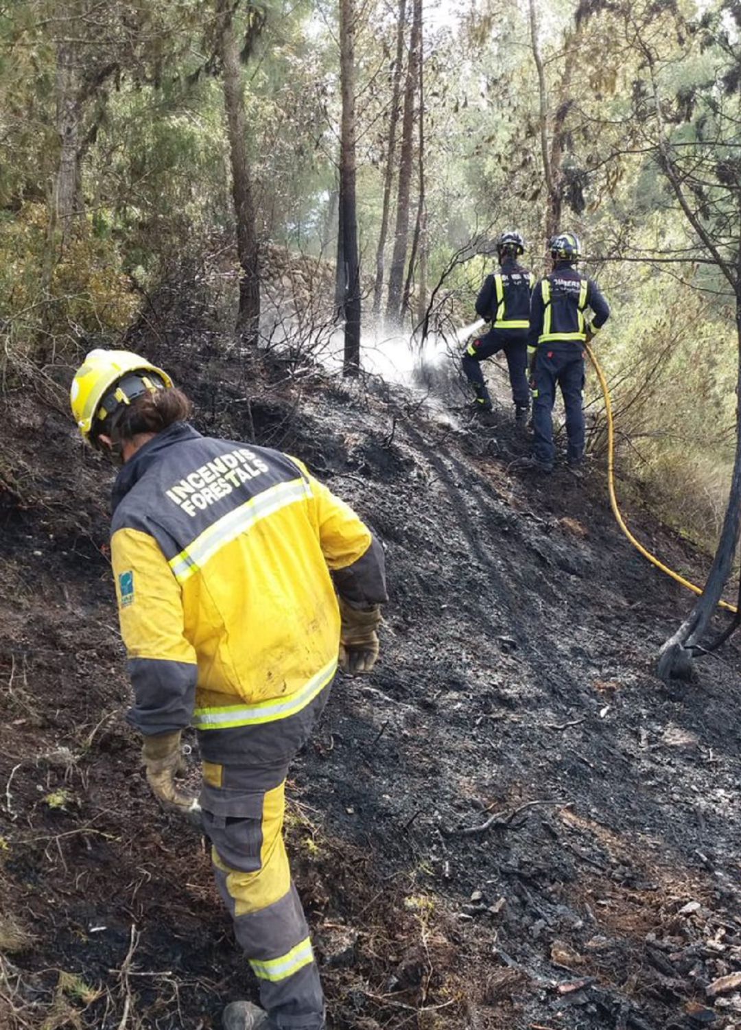 Mir dice que se actuará "de manera integral" en las Pitiusas para combatir los incendios Mir dice que se actuará "de manera integral" en las Pitiusas para combatir los incendios