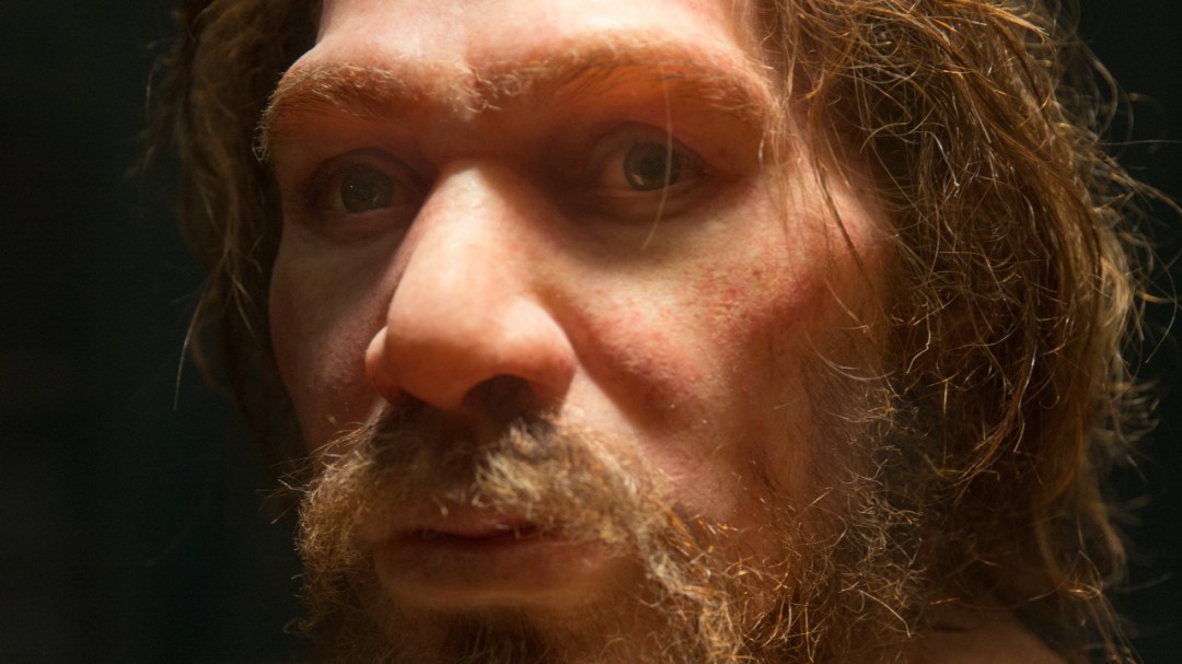¿Quién pudo matar al último neandertal?