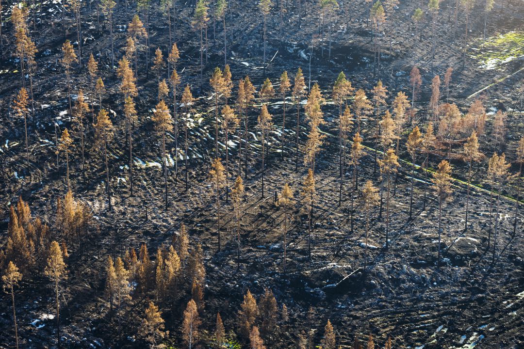 El cambio climático pone ya en riesgo a la civilización humana El cambio climático pone ya en riesgo a la civilización humana