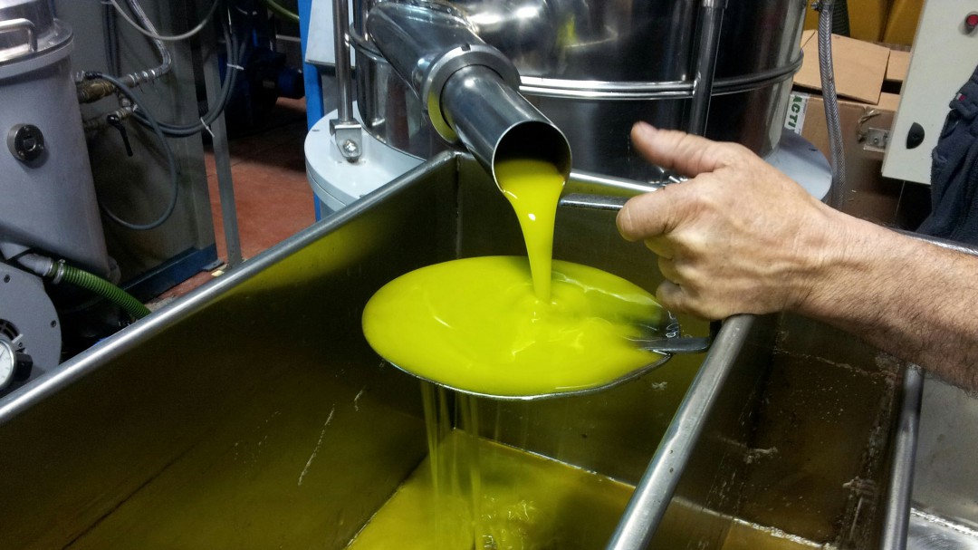 Cabreo monumental por el almacenamiento del aceite