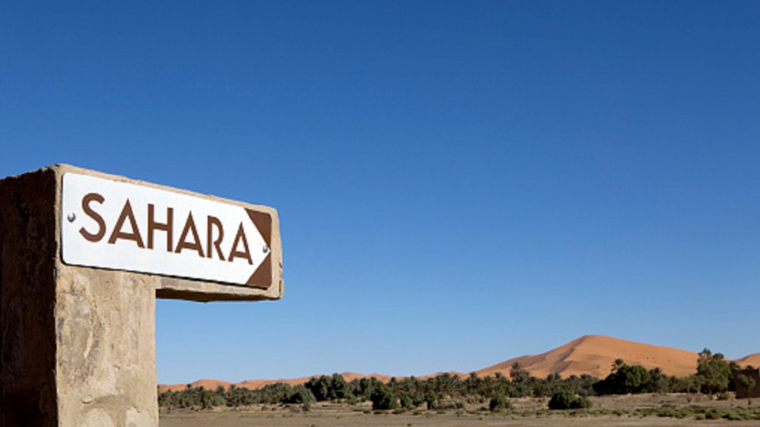Los cooperantes aragoneses, partidarios de reforzar su presencia en el Sahara