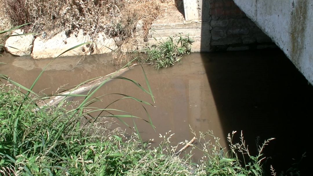 La CHG ha invertido 8.000 euros para la retirada de vegetación en el arroyo Los Molinos La CHG ha invertido 8.000 euros para la retirada de vegetación en el arroyo Los Molinos