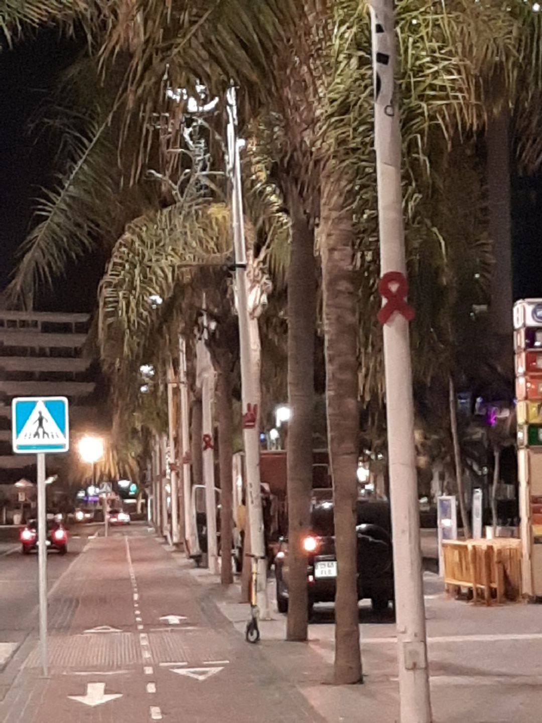 Palmeras de la Avenida Marítima con lazos rojos. Palmeras de la Avenida Marítima con lazos rojos.