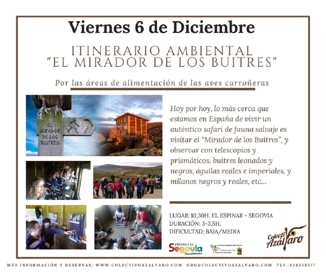 Prgrama del mirador de los buitres, una excursión ofrecida por el colectivo Azálvaro Prgrama del mirador de los buitres, una excursión ofrecida por el colectivo Azálvaro