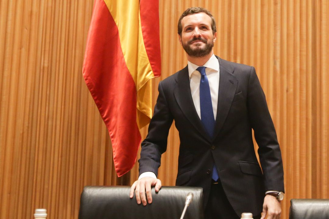 El presidente del Partido Popular, Pablo Casado preside la reunión de los diputados y senadores electos en el Congreso de los Diputados, en Madrid. El presidente del Partido Popular, Pablo Casado preside la reunión de los diputados y senadores electos en el Congreso de los Diputados, en Madrid.