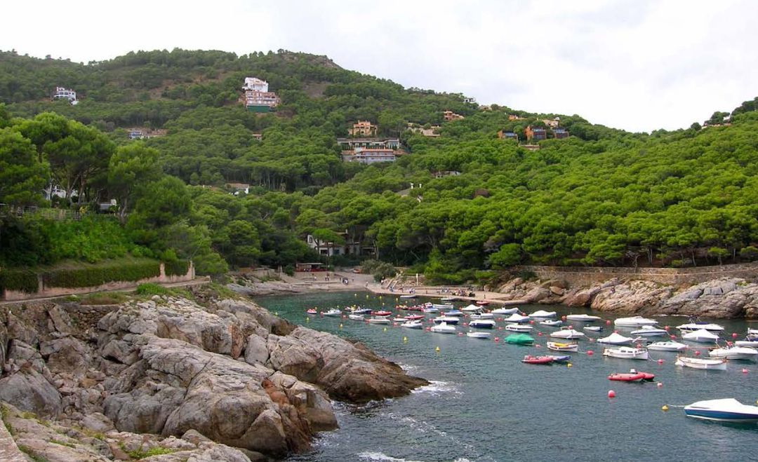 La cala d'Aiguafreda de Begur es preservarà de la urbanització La cala d'Aiguafreda de Begur es preservarà de la urbanització