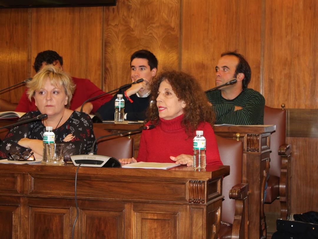 La portavoz del Grupo de IU en la Diputación Provincial, Laura Rivera, durante una intervención en el pleno de la institución provincial La portavoz del Grupo de IU en la Diputación Provincial, Laura Rivera, durante una intervención en el pleno de la institución provincial