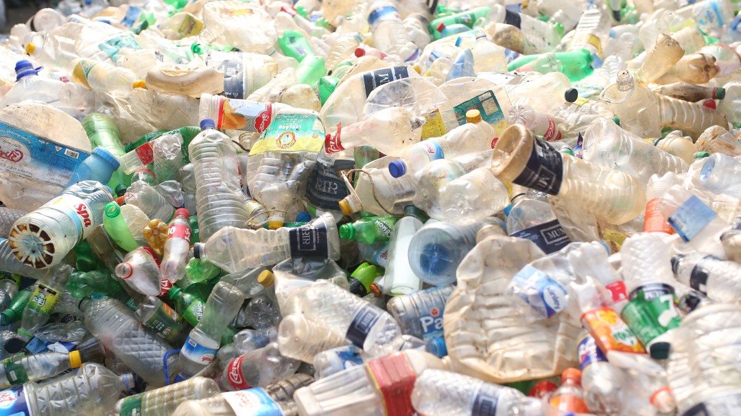 De botella a alfombra y de yogur a cepillo de dientes: la transformación verde de los productos cotidianos
