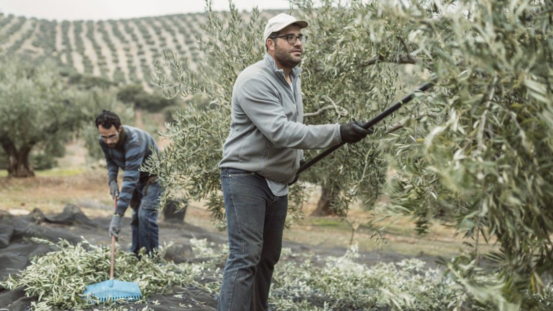 La agricultura, el sector donde más baja el paro La agricultura, el sector donde más baja el paro
