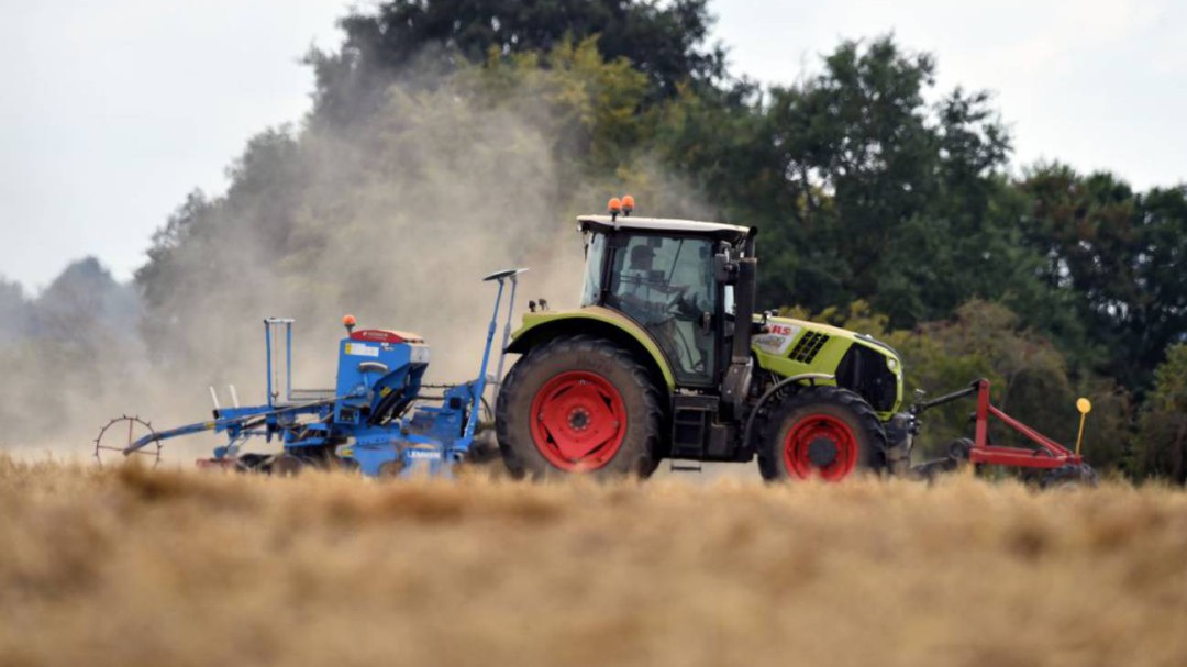 Disminuye el desempleo en la agricultura y alcanza niveles de 2010