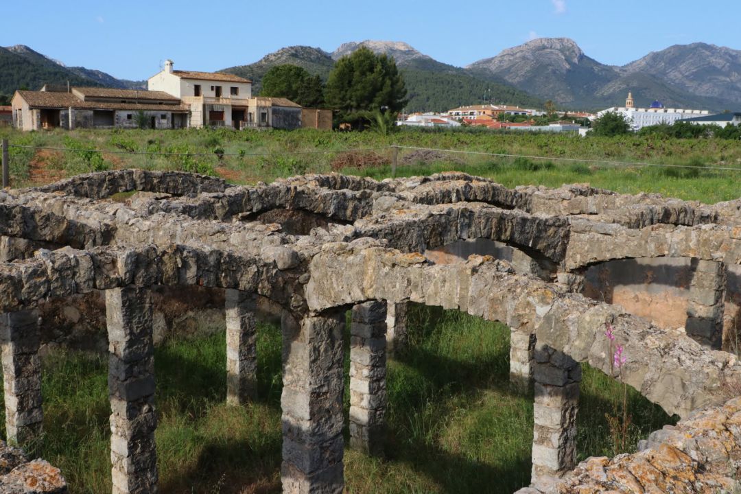 Bassa dels Arcs. Xaló Bassa dels Arcs. Xaló