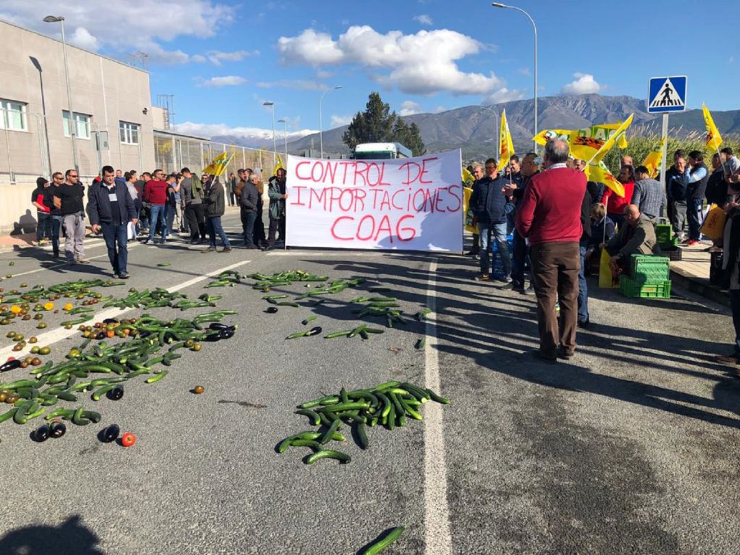 Agricultores protestan en el Puerto de Motril convocados por el sindicato COAG Agricultores protestan en el Puerto de Motril convocados por el sindicato COAG