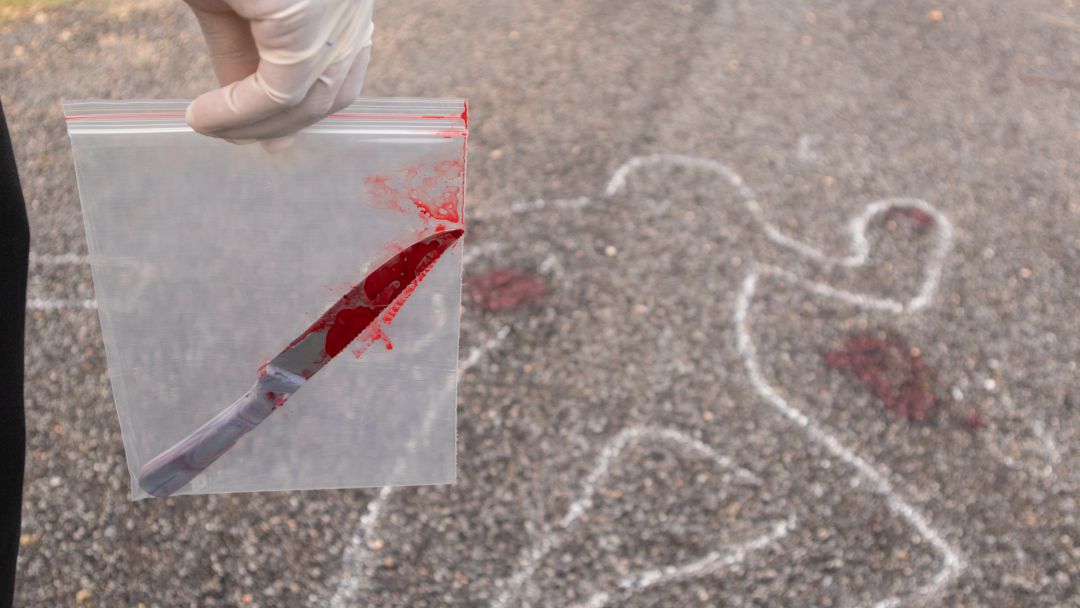 A nivel nacional, la criminalidad creció de enero a septiembre un 4 %, porcentaje superior en el caso de los delitos más graves, como los homicidios y asesinatos. A nivel nacional, la criminalidad creció de enero a septiembre un 4 %, porcentaje superior en el caso de los delitos más graves, como los homicidios y asesinatos.