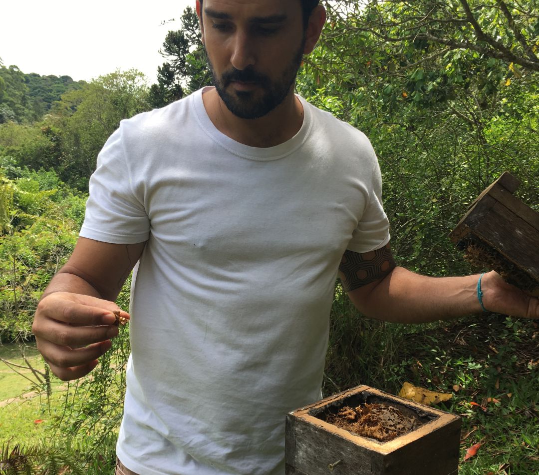El ecólogo Jerônimo Villas-Boas apunta a los monocultivos como la principal causa de la desaparición de las abejas y de la diversidad en los ecosistemas. El ecólogo Jerônimo Villas-Boas apunta a los monocultivos como la principal causa de la desaparición de las abejas y de la diversidad en los ecosistemas.