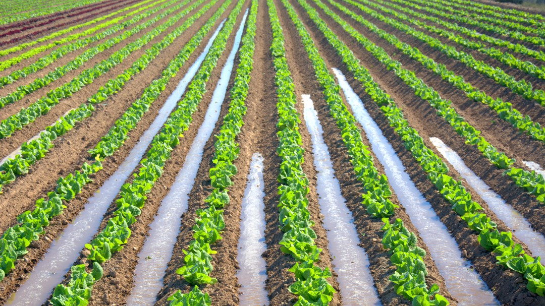 Las cooperativas, contra la obligación de destinar un 20% de su presupuesto a medio ambiente
