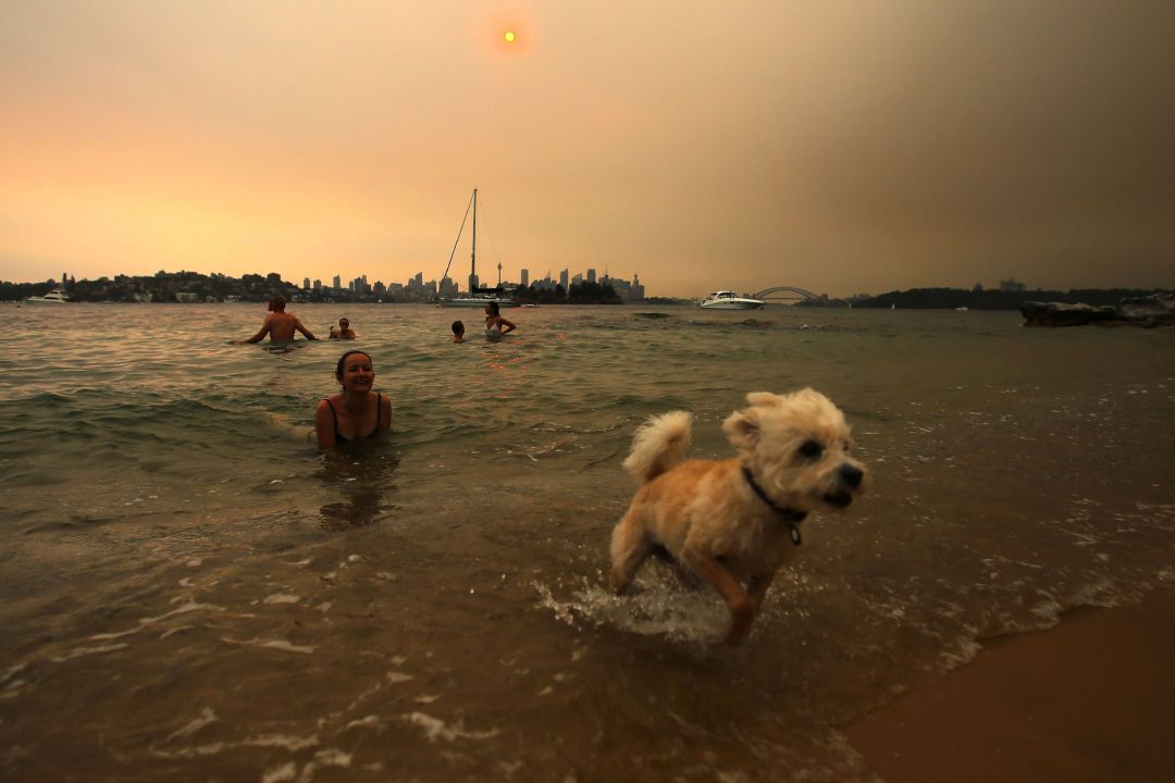 Un perro juega con su dueña en una playa en una imagen de archivo. Un perro juega con su dueña en una playa en una imagen de archivo.