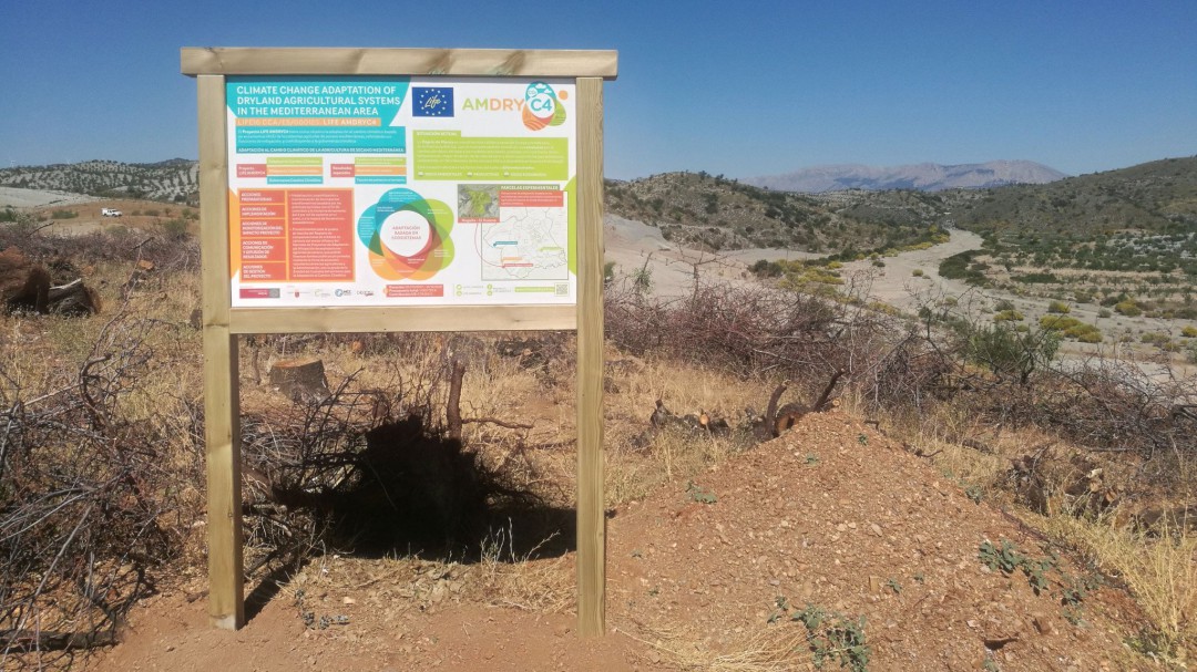 Lorca estará en la Cumbre del Clima con un proyecto de la UMU contra la desertización