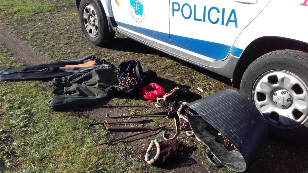 Intervienen 39 kilos de percebe extraído de forma furtiva en A Coruña
