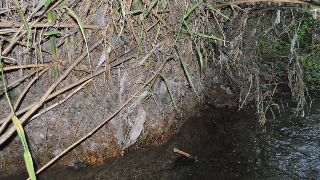 La gota fría agrava el problema de las toallitas en el río Serpis